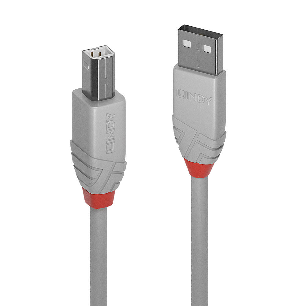 Cable Lindy USB 2.0 type A - B M/M 3m (Gris)