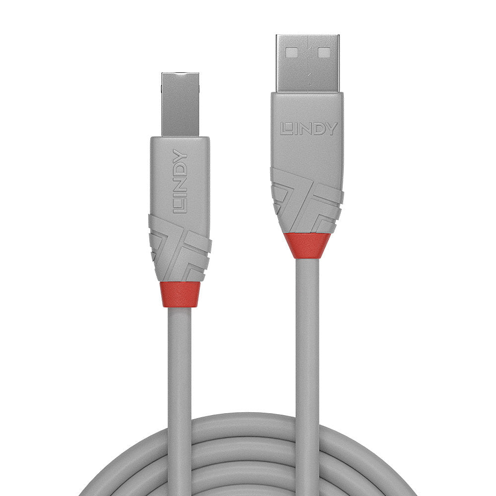 Cable Lindy USB 2.0 type A - B M/M 3m (Gris)
