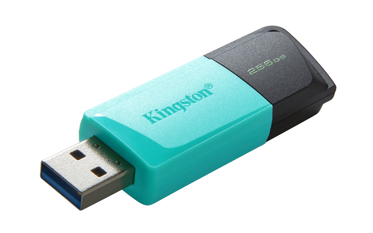 Clé USB 3.2 Kingston DataTraveler Exodia M - 256Go (Turquoise/Noir)