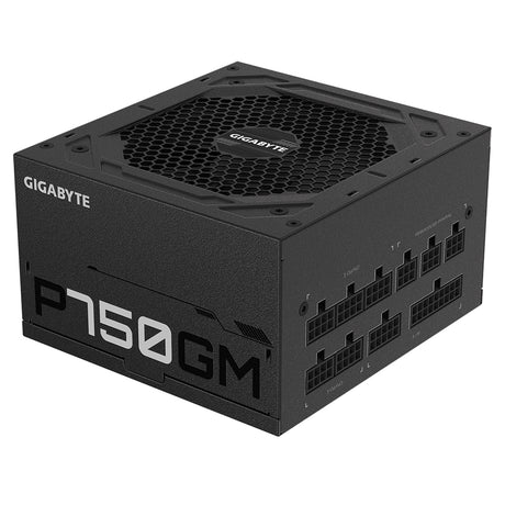 Alimentation ATX Gigabyte P750GM - 750W (Noir)