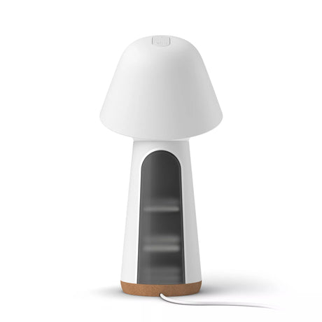 PHILIPS lampe connectée hue w
