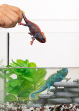 Figurine Caméléon, Figurine qui change de couleur avec la chaleur, jouet pour enfants des 3 ans, Schleich 14858 WILD LIFE