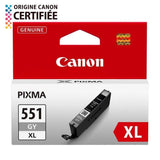 CANON Cartouche d'encre CLI-551GY XL grande capacitÈ Gris (CLI551XL)