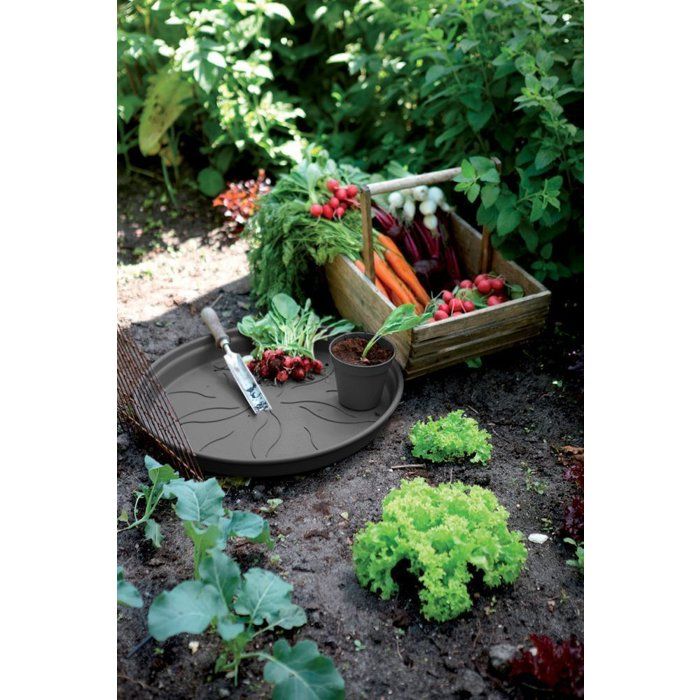 ELHO Lot de 5 pots de fleurs de culture avec soucoupe Green Basics - Ø17 x H15,7 cm + soucoupe Ø14 cm - 4 L - Noir