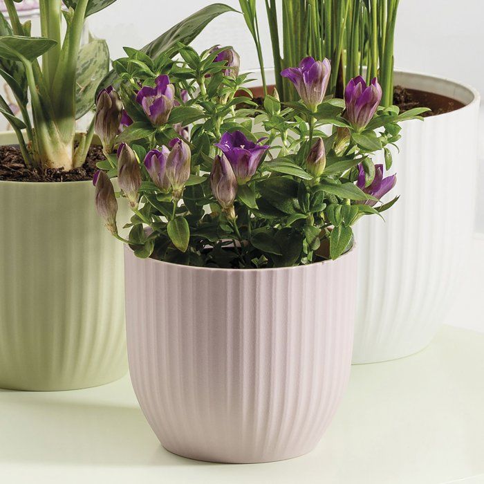 Pot de fleurs rond - DEROMA - 231 - 10 L - Ø 27 cm - Rose