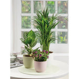 Pot de fleurs rond - DEROMA - 231 - 10 L - Ø 27 cm - Rose