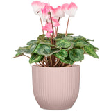 Pot de fleurs rond - DEROMA - 231 - 10 L - Ø 27 cm - Rose