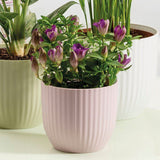 Pot de fleurs rond - DEROMA - 231 - 10 L - Ø 27 cm - Rose