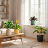 Pot de fleurs rond - DEROMA - 236 - 13 L - Ø 29 cm - Noir