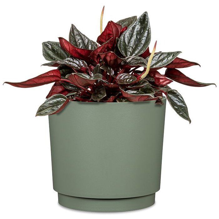 Cache-pot rond - GARDEN ID - Plano - Ø 25 - 7 L - H 22 cm - Vert clair