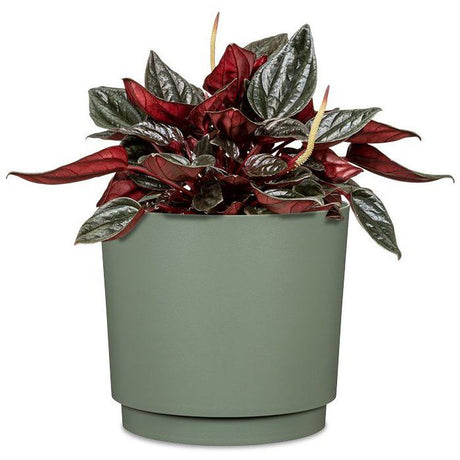 Cache-pot rond - GARDEN ID - Plano - Ř 25 - 7 L - H 22 cm - Vert clair