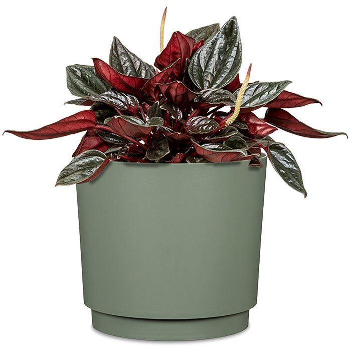 Pot de fleurs rond - DEROMA - 236 - 13 L - Ø 29 cm - Vert