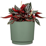 Pot de fleurs rond - DEROMA - 236 - 13 L - Ø 29 cm - Vert