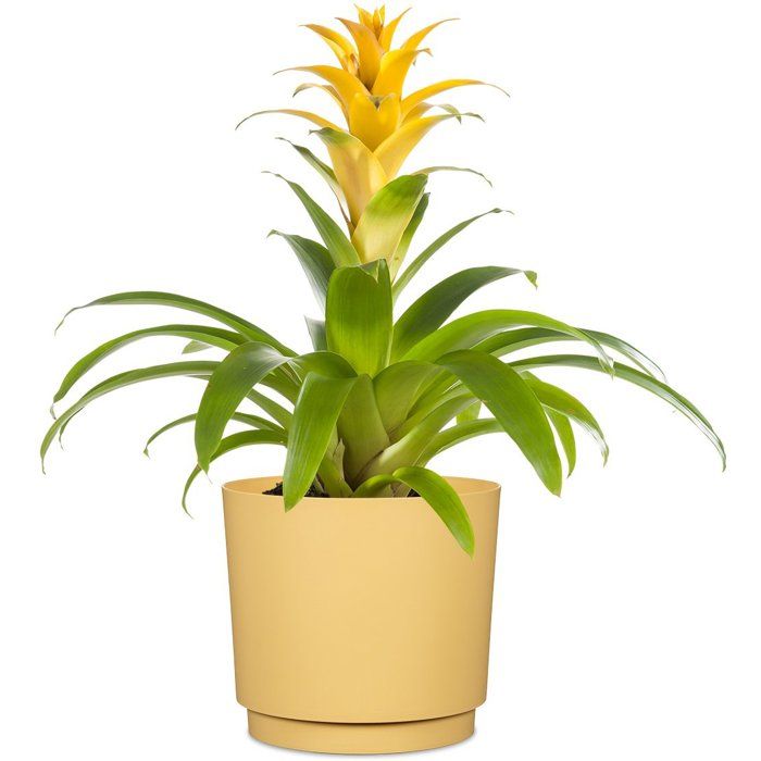 Cache-pot rond - GARDEN ID - Plano - Ø 25 - 7 L - H 22 cm - Jaune