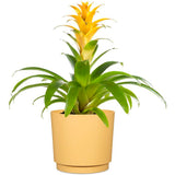 Pot de fleurs rond - DEROMA - 236 - 13 L - Ø 29 cm - Jaune