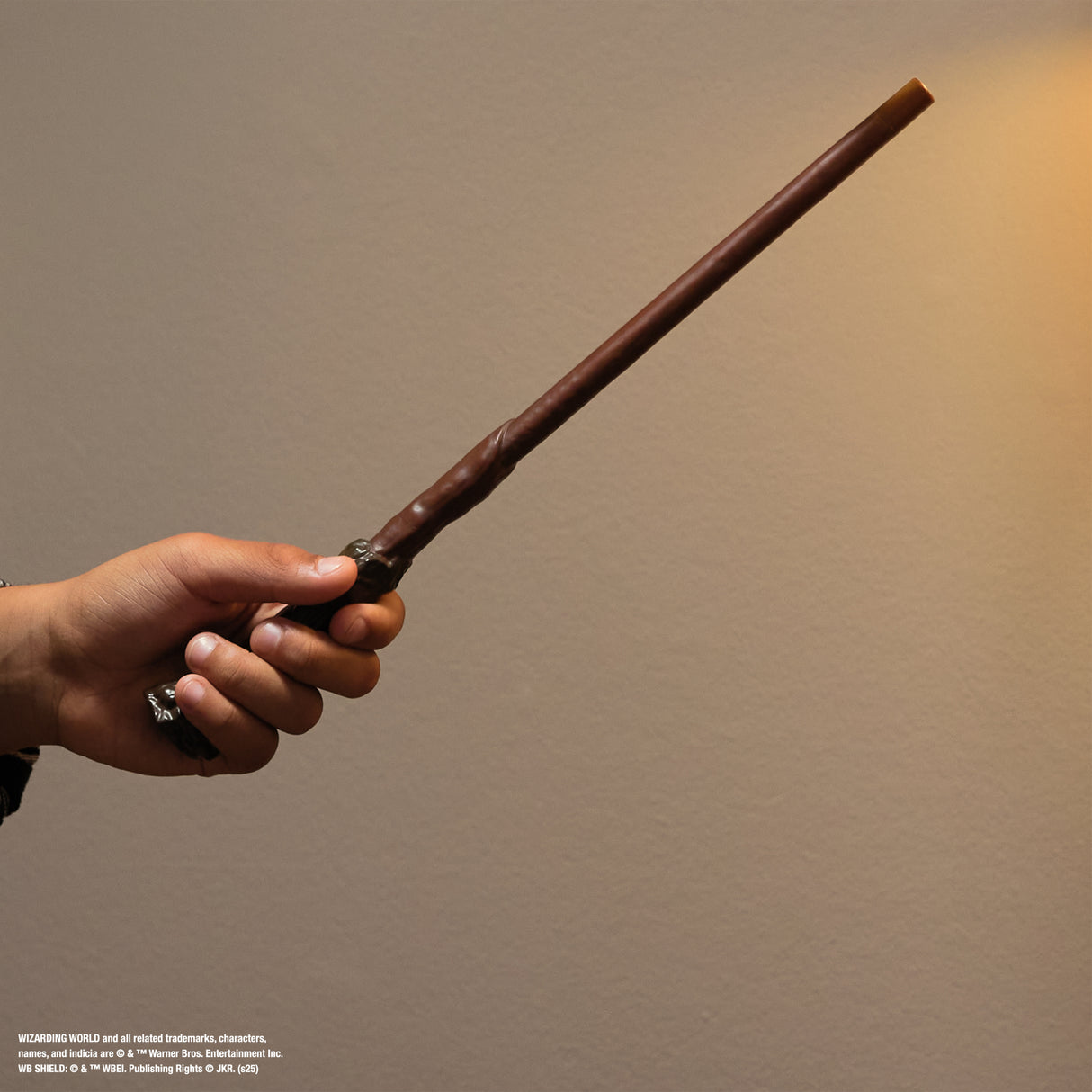 SPIN MASTER BAGUETTE MAGIQUE SORT SPECTACULAIRE Wizarding World