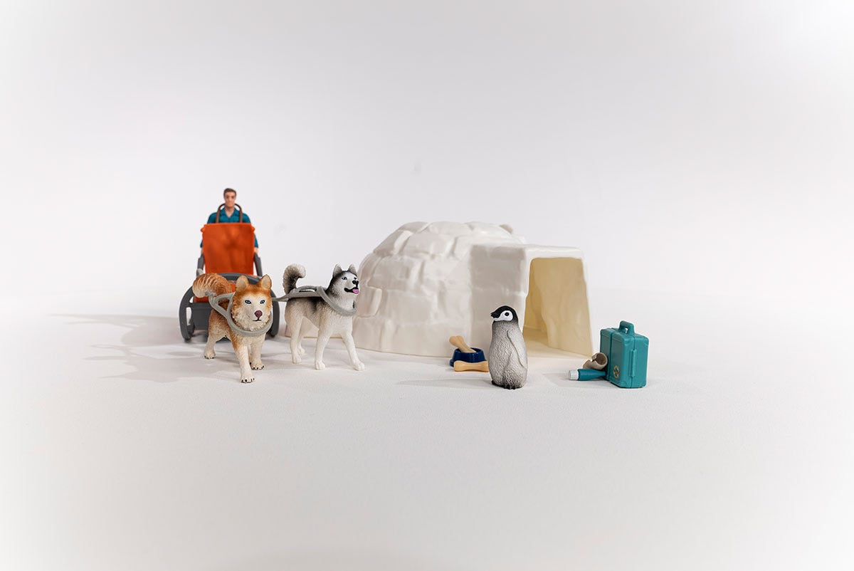 Coffret Expédition en Antarctique, figurines animaux sauvages, Schleich 42558 Wild Life, Pour enfant des 3 ans