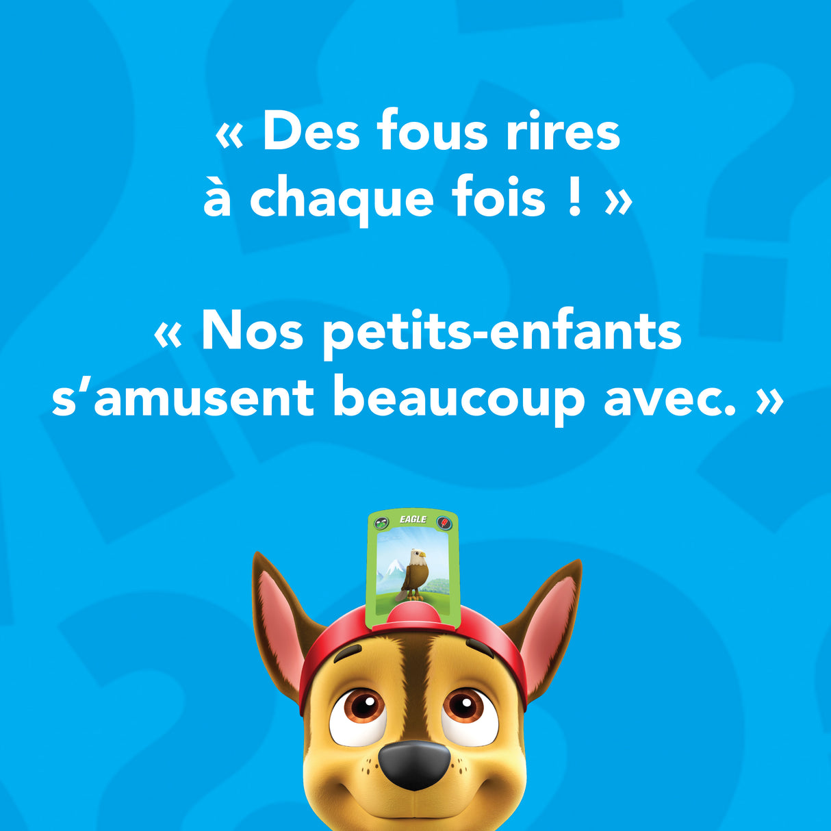 Devine Tete Pat Patrouille, Jeu de Société, Bandeaux et Devinettes, Version Française, Jeu Enfant des 4 ans
