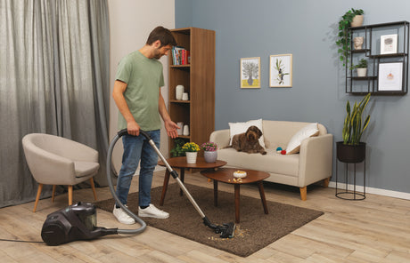 Aspirateur traineau sans sac - HOOVER - HP321PAF - 850 W - 75 dBA - 2 L - Gris