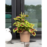 Pot de fleurs avec réserve rond - GARDEN ID - Glamour - Ø 50 - 47 L - H 43 cm - Taupe