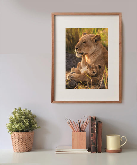 CLEMENTONI - Compact 500 pieces - Feline Love
