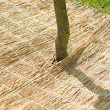 Nature Bâche de protection hivernale Paille de riz 1x1,5 m