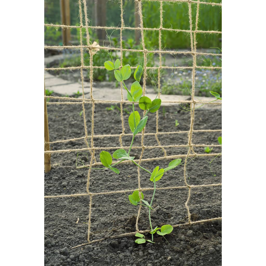 Naturnetz für Kletterpflanzen aus Jute 1x3 m natur