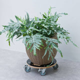 Nature Chariot à plantes rond Ø38 cm noir bois