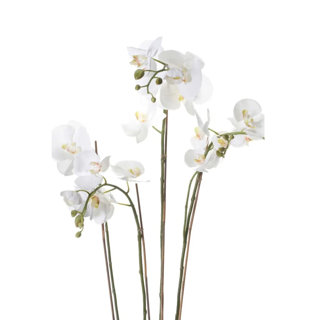 Emerald Phalaenopsis artificiel avec mousse Blanc 90 cm 20.355