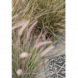 Emerald Herbe Pennisetum artificielle 58 cm en pot en zinc