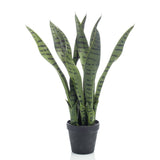 Smaragd Kunstpflanze Sansevieria 55 cm im Topf