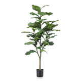 Emerald Ficus lyrata artificiel 120 cm