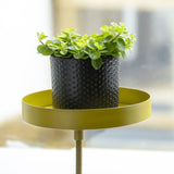 Esschert Design Plateau pour plantes avec pince Rond Doré S