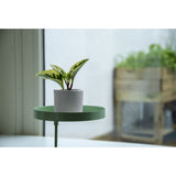 Esschert Design Plateau pour plantes avec pince Rond Vert M