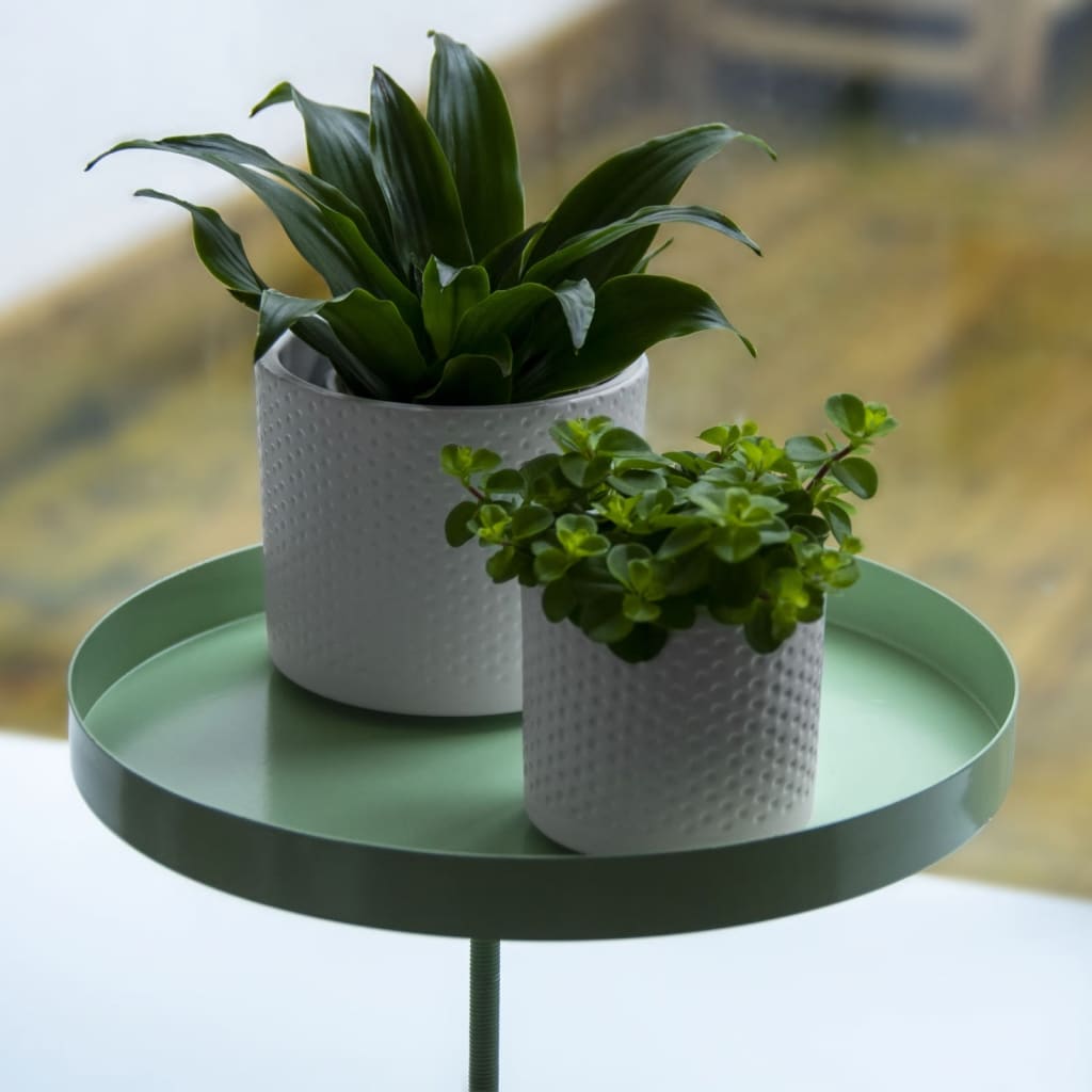 Esschert Design Plateau pour plantes avec pince rond vert L