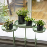 Esschert Design Plateau pour plantes avec pince rond vert L