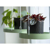 Esschert Design Plateau suspendu pour plantes Rond Vert S