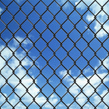 Steel mesh fence 25 x 1.25 m Grey