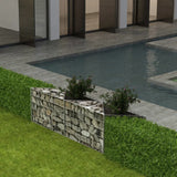 Panier de gabion Acier galvanisé 120x30x50 cm