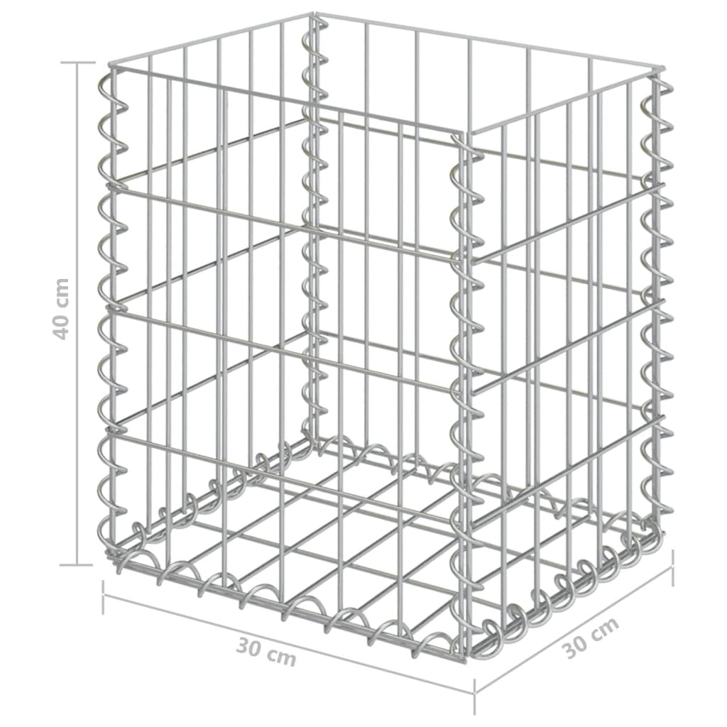 Paniers de gabion 2 pcs Acier galvanisé 30x30x40 cm