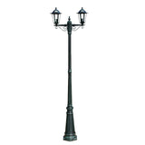 Garden lamp post 2 arms 215 cm Dark green/Black Aluminum