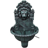 Lion Head Design Wall Fountain