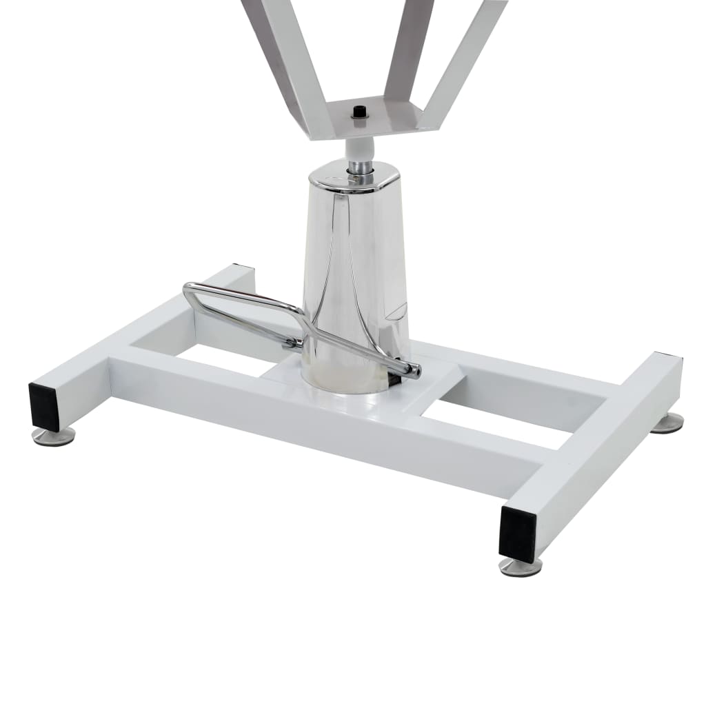 Table Toilettage Ajustable Hydraulique pour Chiens avec Pivot