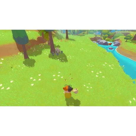 Petit Island - Jeu PS5