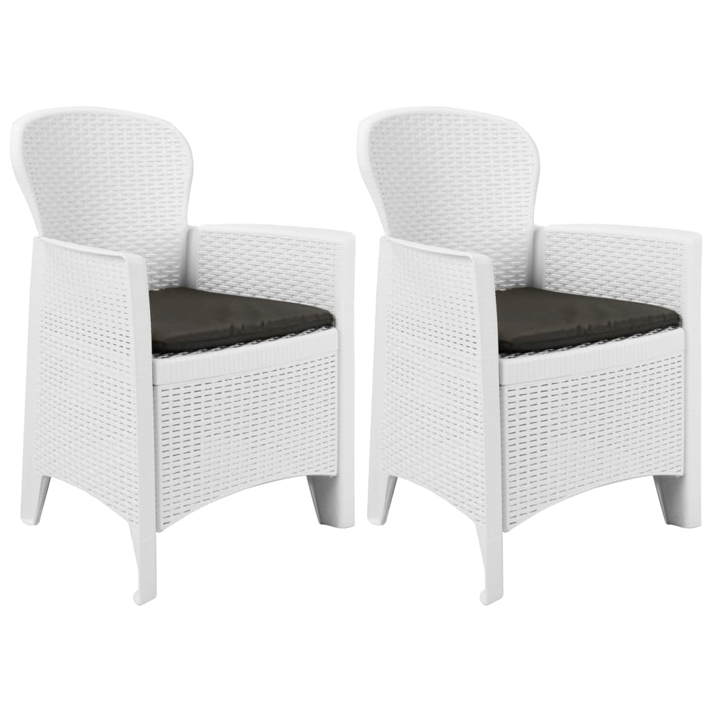 Chaise de jardin lot de 2 coussin Blanc Plastique Aspect rotin