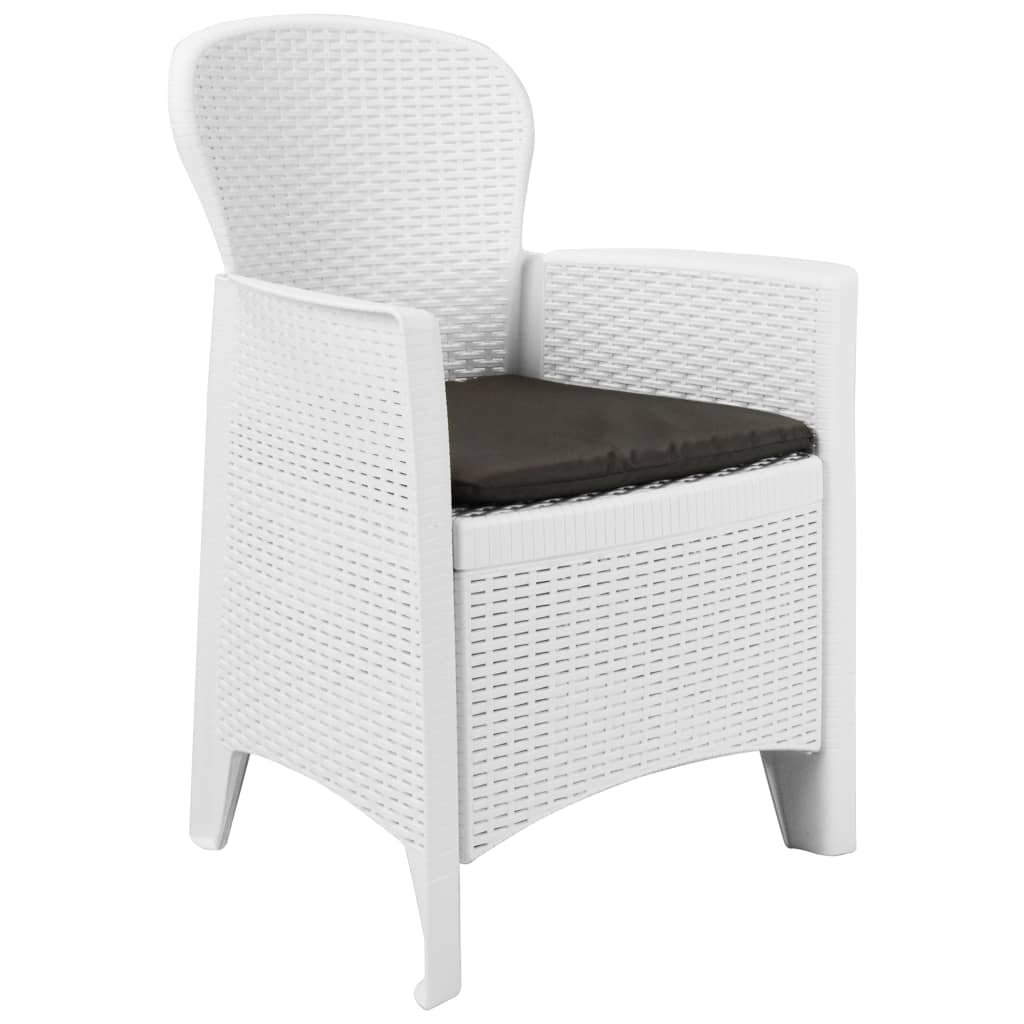 Chaise de jardin lot de 2 coussin Blanc Plastique Aspect rotin