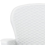 Chaise de jardin lot de 2 coussin Blanc Plastique Aspect rotin