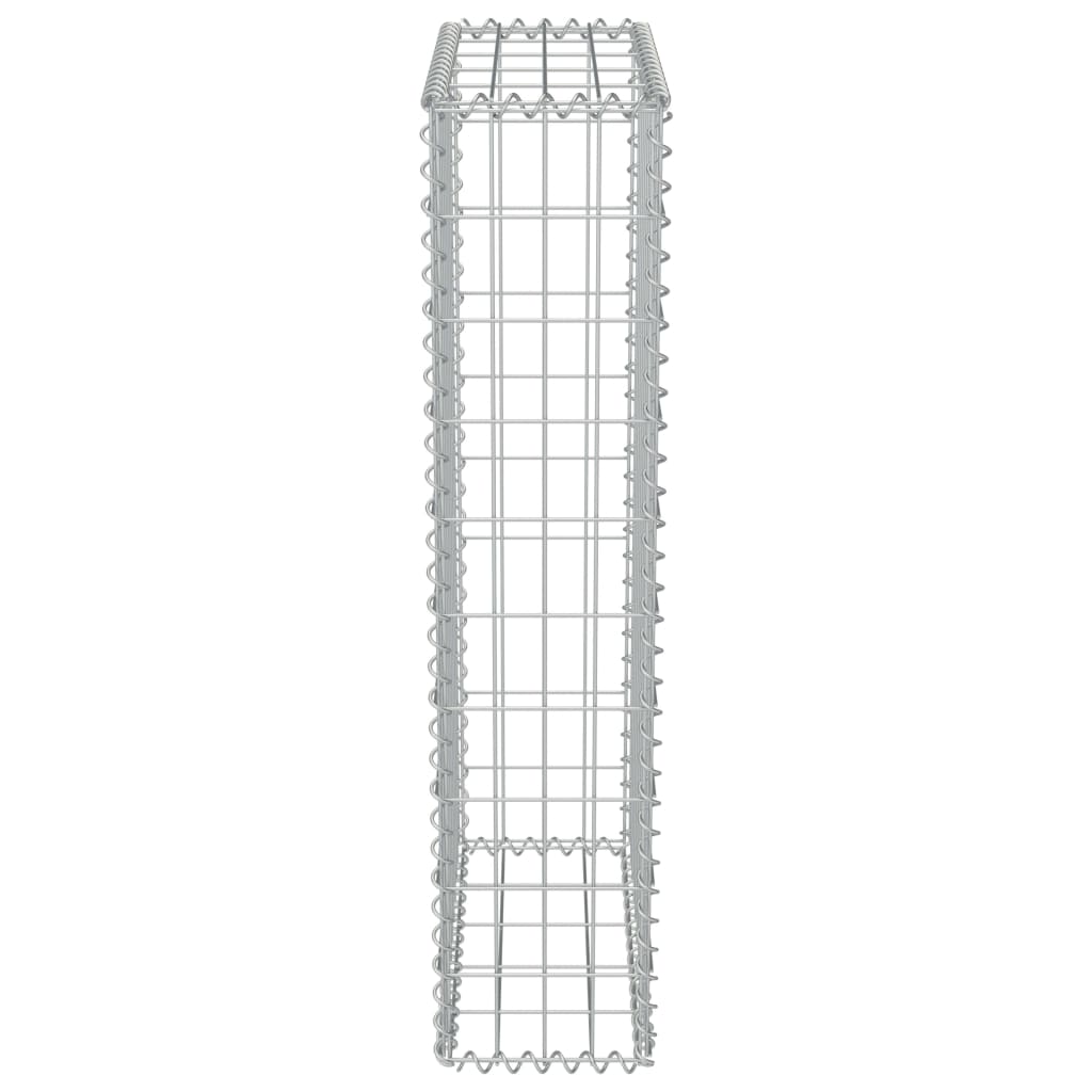 Gabionenwand mit Abdeckungen aus verzinktem Stahl 50x20x100 cm