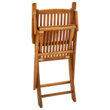 Chaises pliables d'extérieur lot de 2 Bois d'acacia solide