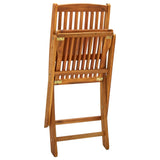 Chaises pliables d'extérieur lot de 2 Bois d'acacia solide